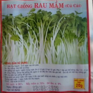 Hạt giống Rau Mầm