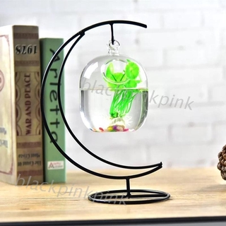 Bình thủy tinh trong suốt đựng hoa treo trang trí có thể làm bể cá