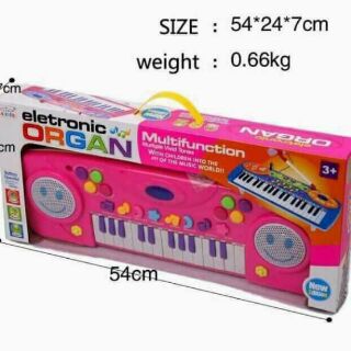 Đàn organ kèm micro