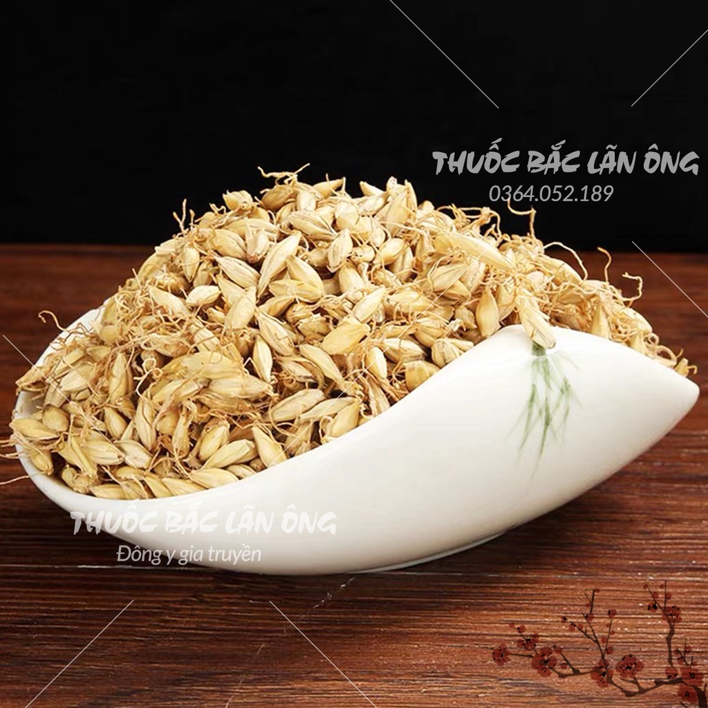 Mạch nha 500g (Mầm lúa mạch, hàng loại 1)