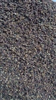 Mắc khén khô