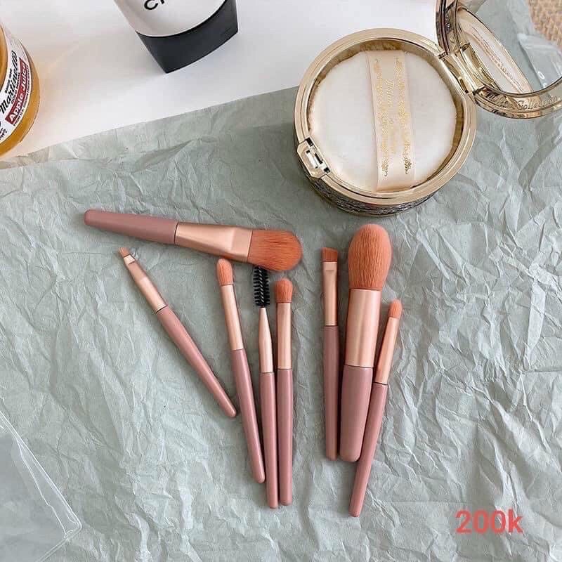 Set cọ 8 cây