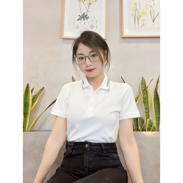 Áo Thun Polo Nữ Chất Liệu Pique Măt chim,  Vải Siêu Mền , Đẹp.