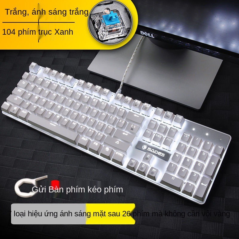 Bàn phím cơ SADES 104 màu xanh và trắng trong mờ trục anh đào PBT khắc laser cá tính DIY keycaps