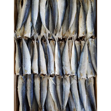 Các loại khô cá ngon - Khô cá Nục bỏ đầu loại To, thịt Dai, Thơm ngon giàu Dinh Dương-100% tự nhiên 1kg, 500gr, 100gr