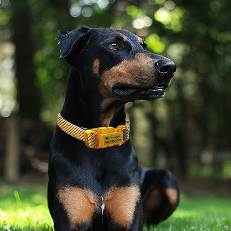 HamshMoc Vòng Cổ Chữ D Bằng Kim Loại Mềm Chống Thất Lạc Có Thể Điều Chỉnh Cho Thú Cưng Cỡ Nhỏ / Vừa / Lớn