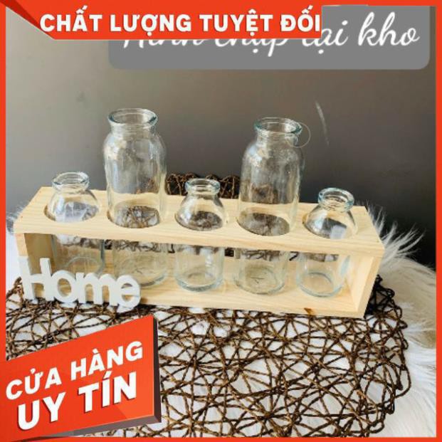 Set 5 lọ thủy tinh cao thấp cắm hoa kèm kệ gỗ Home.