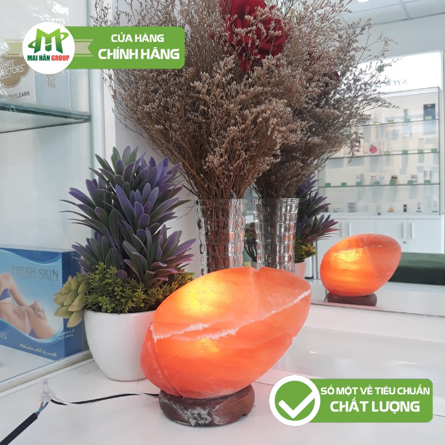 Đèn Đá Muối Himalaya Trang Trí Hình Bóng Bầu Dục
