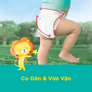 Tã Quần Pampers L60 (9-14KG)