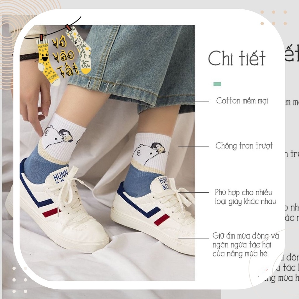 TẤT VỚ CỔ CAO UNISEX GẤU XANH BIỂN