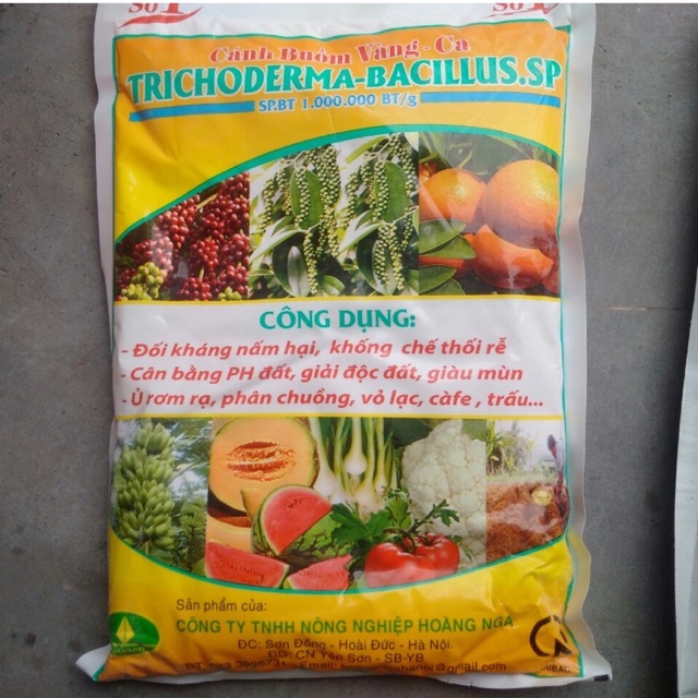 ❤️ Gói Trị Nấm TRICHODERMA Loại Số 1 Gói 1kg❤️
