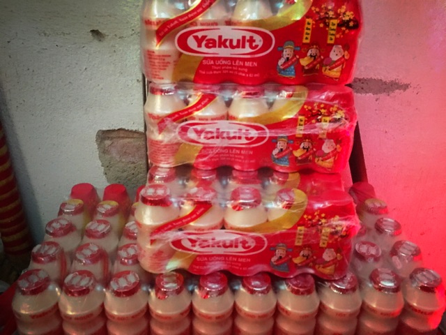 Yakult sữa uống lên men của Nhật Bản