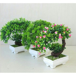Cây bonsai giả có hoa - phú quý cát tường