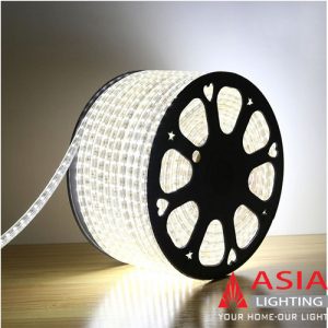 [CHÍNH HÃNG] LED dây nháy 7 màu - đổi màu 5050-60 Asia