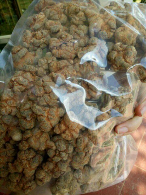 Của tam thất bắc 52,66,90 củ/1kg