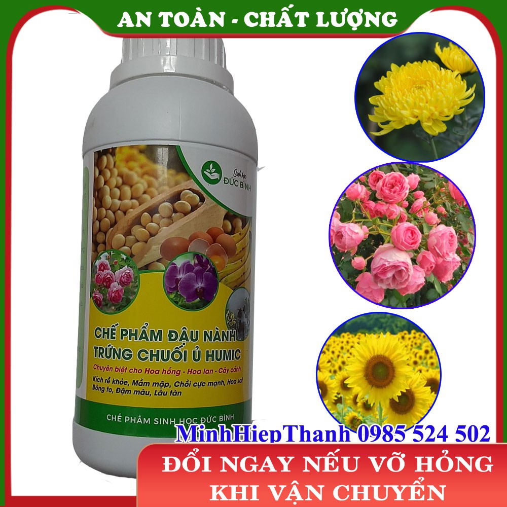 Chế phẩm sinh học đậu nành trứng chuối ủ Humic chuyên hoa cây cảnh