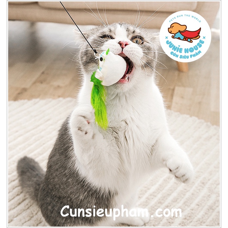 Cần câu đồ chơi tròn hình chú chim cho mèo