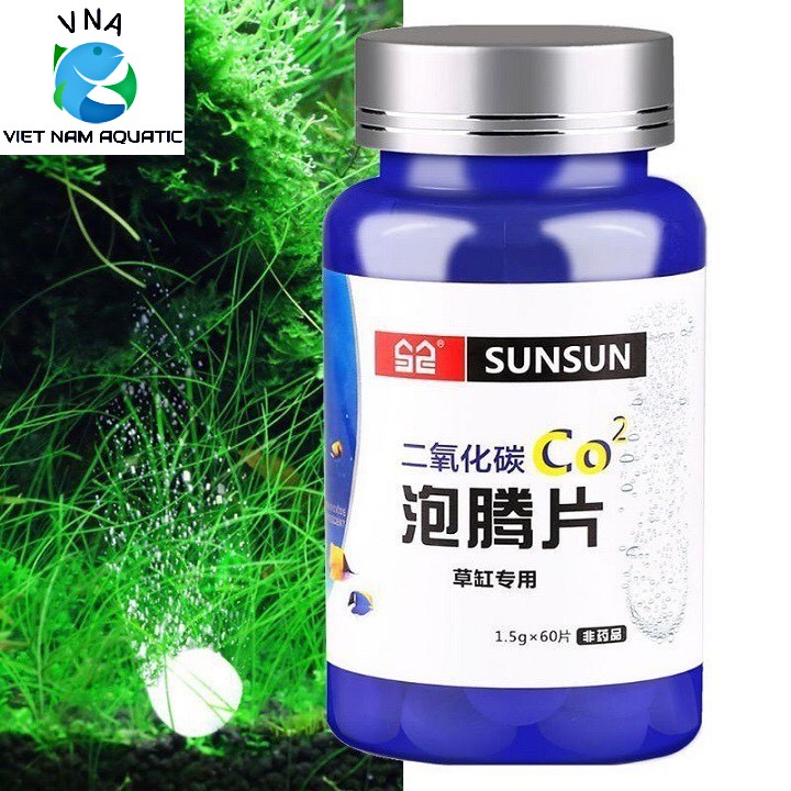 Viên Sủi CO2 SunSun ( 1 Hộp 60v)