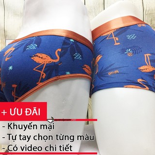 Quần lót cặp nam nữ Cam Hạc QLD2