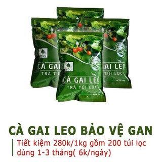 Trà túi lọc cà gai leo sadu mát gan thải độc gan-1kg