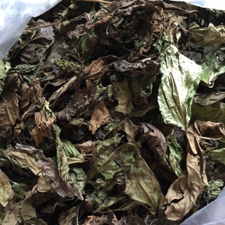 ✅ 1kg Cây vọng cách loại tốt hỗ trợ gan