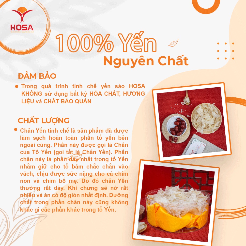 Chân Yến Sào Tinh Chế HOSA Hộp 50Gr/100Gr Tăng Đề Kháng