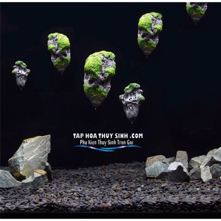 ĐÁ NỔI AVATAR TRANG TRÍ HỒ CÁ