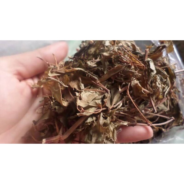 Lá đinh lăng phơi khô