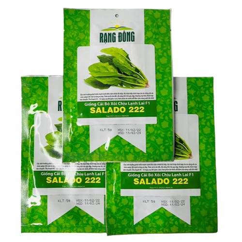 Hạt giống cải bó xôi chịu lạnh lai F1 SALADO 222