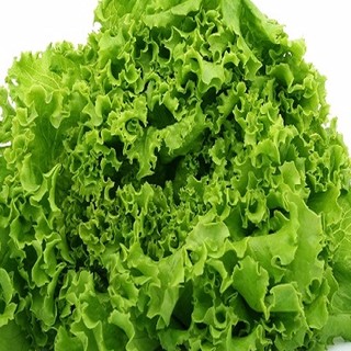 BỘ 3 GÓI HẠT GIỐNG RAU XÀ LÁCH XOĂN