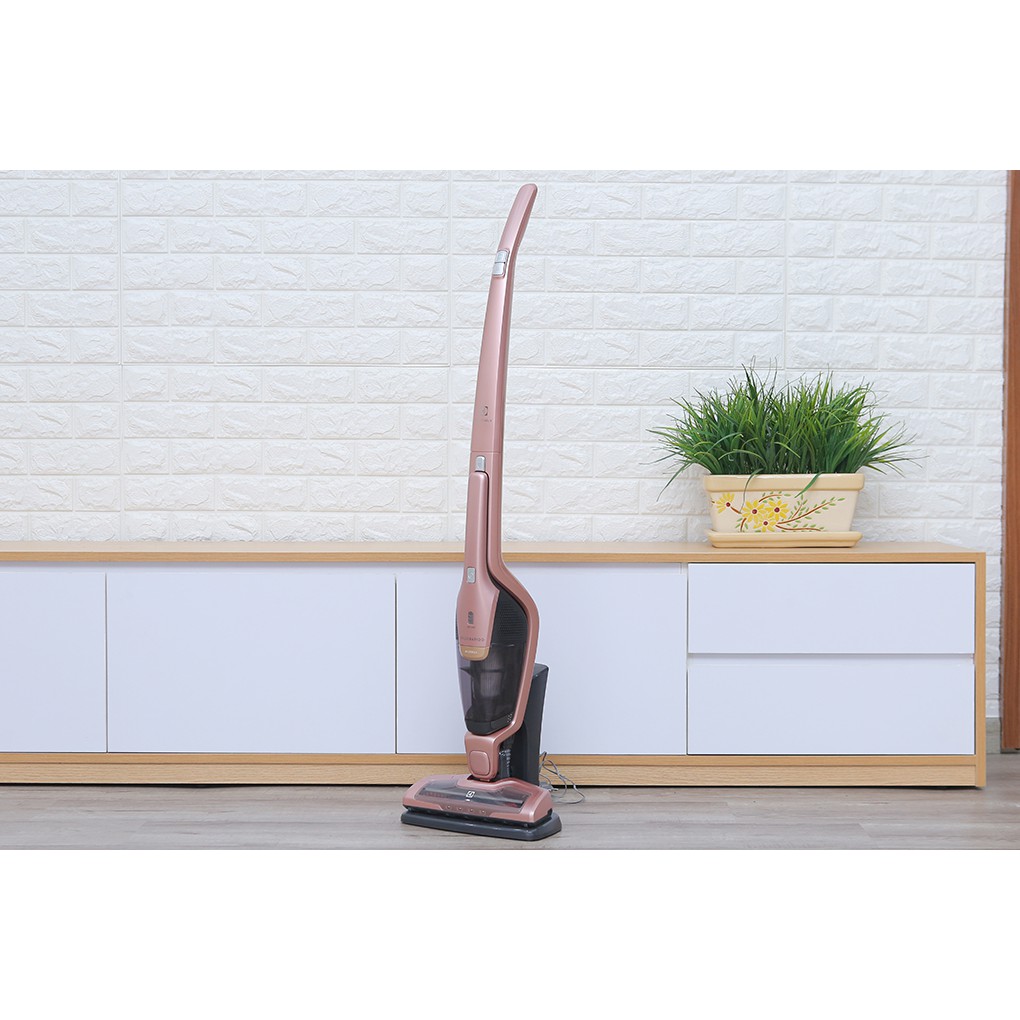 Máy hút bụi cầm tay Electrolux ZB3314AK sạc pin, không dây