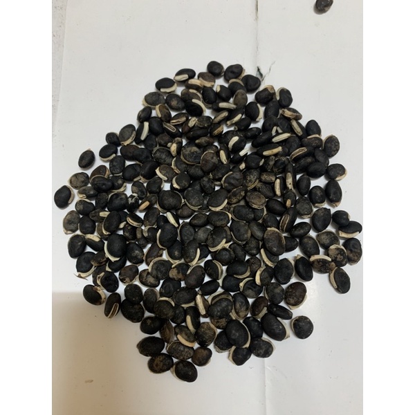 Hạt giống cây đậu ván quả xanh hoa tím rất sai