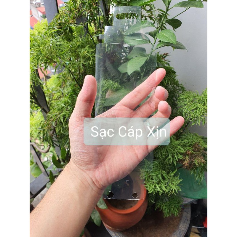 Tấm dán màn hình UV Note 20 Ultra/ Note10+ / S10+ chính hãng theo máy