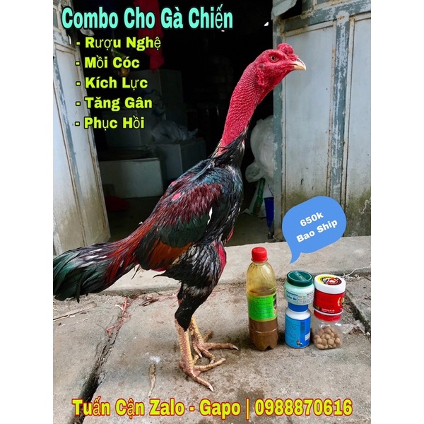 Côm Bô Gà Chiến Sung Khoẻ