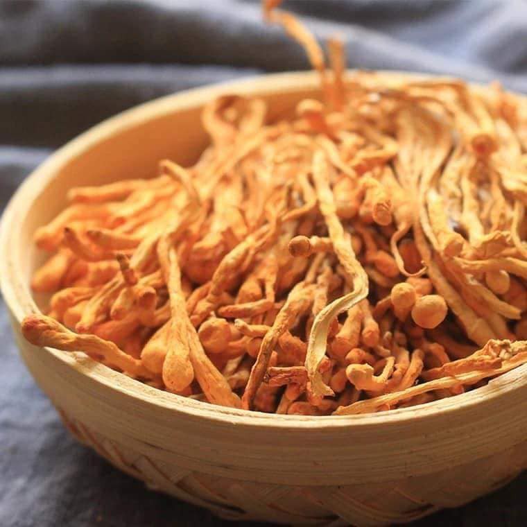 BÔNG TRÙNG THẢO Thượng Hạng Hộp 125g