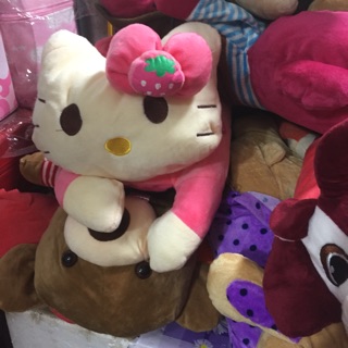 Túi sưởi hình thú bông