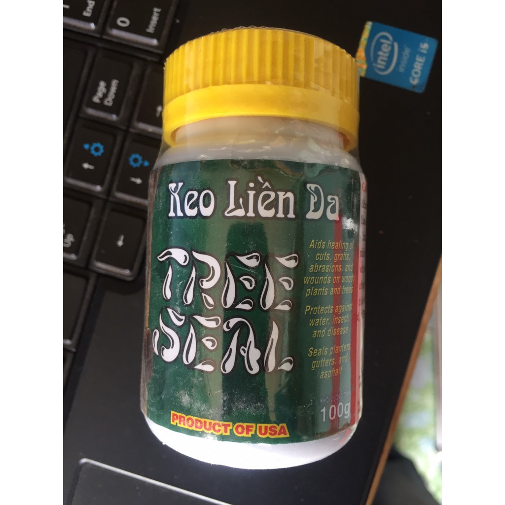 Keo liền da Mỹ Morrison 100g