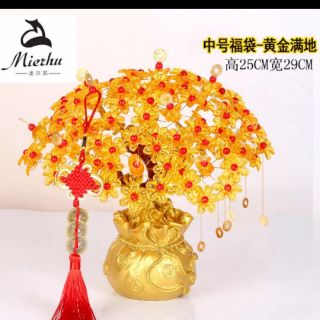 Cây kim tiền tài lộc size 15