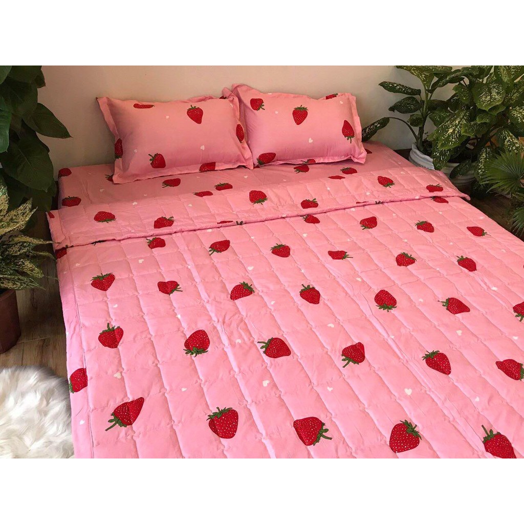 Sét Chăn hè ga gối Cotton Poly Emmidecor Mẫu Dâu Tây Hồng