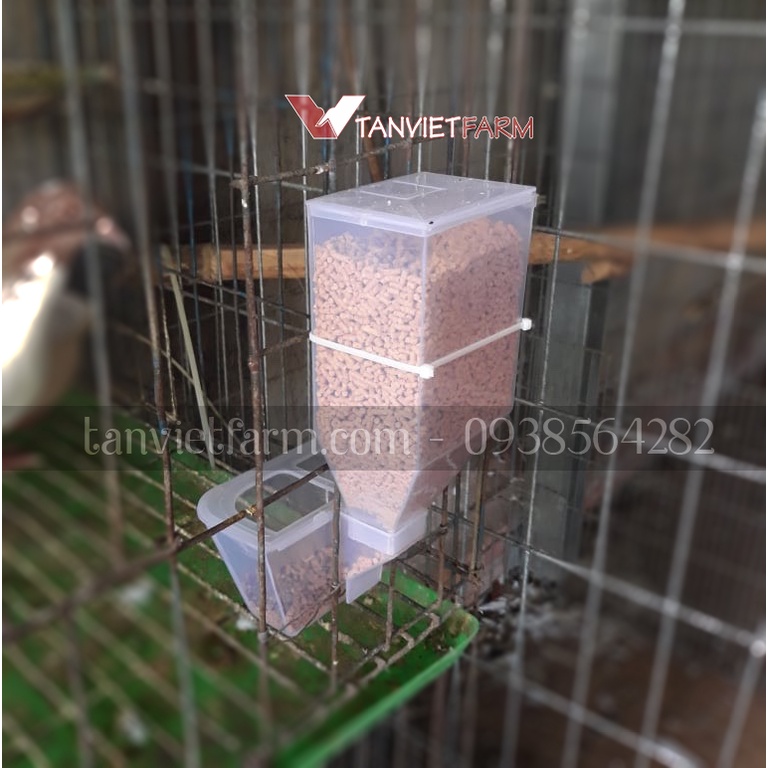 Máng ăn tự động cho chim | Máng ăn cho gà | Cóng ăn tự động cho chim