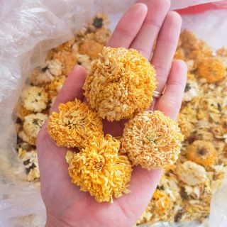 1KG TRÀ HOA CÚC HOÀNG KIM - CÚC VÀNG BÔNG RẤT LỚN