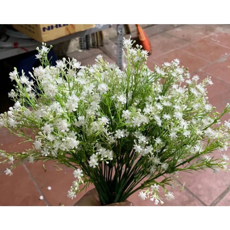 Hoa giả decor hoa giả trang trí baby sao cụm 5 nhánh trang trí nhà cửa