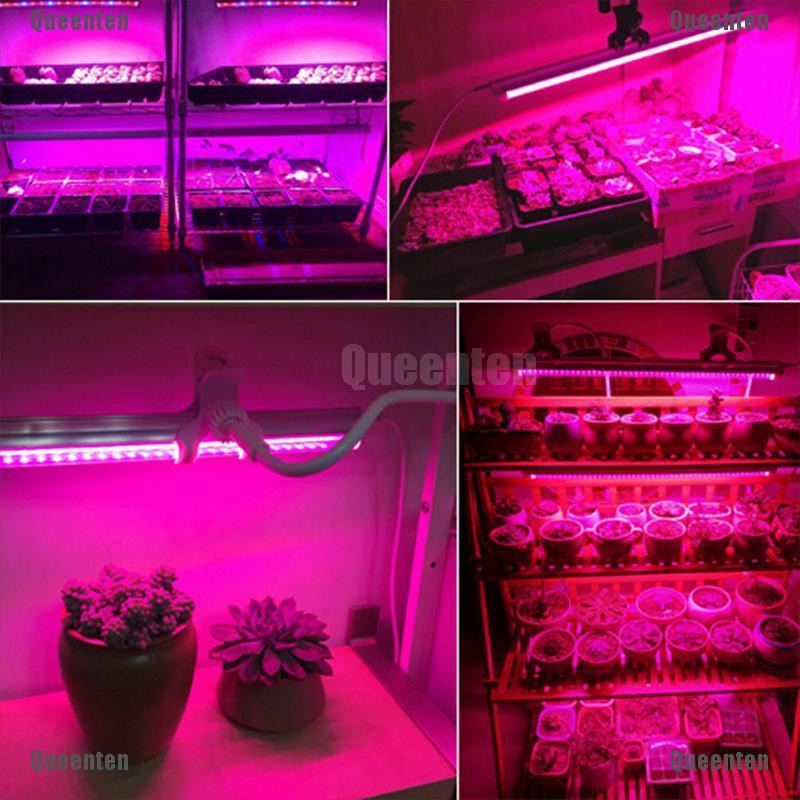 Bóng Đèn LED T5 Hỗ Trợ Cây Trồng Trong Nhà