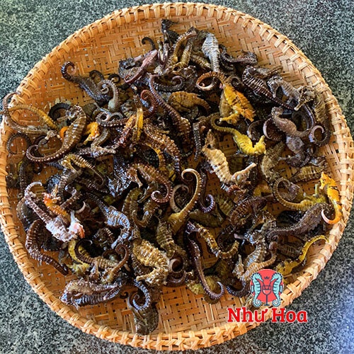 Cá ngựa khô 9cm - 13cm