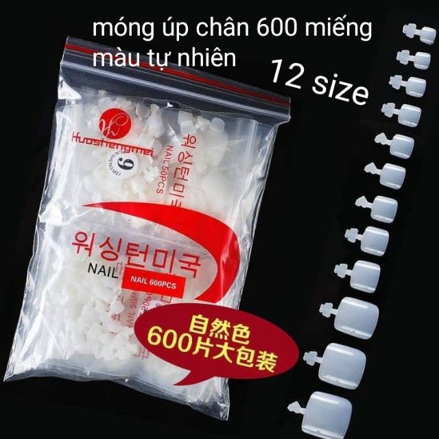 Móng Úp Chân-500 Móng (Hàng Bán Chạy)