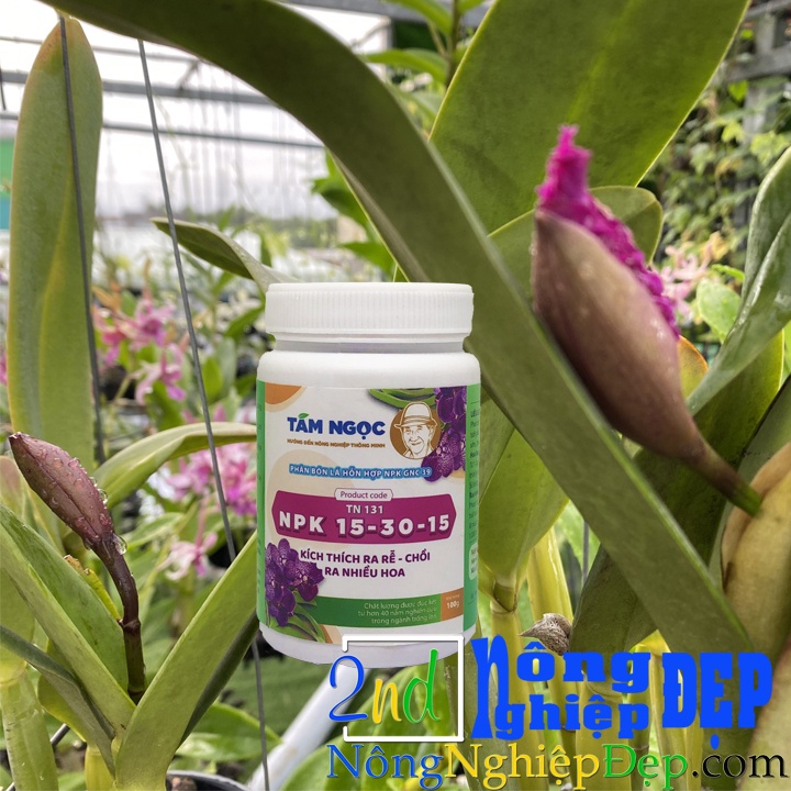 Phân Bón 15-30-15 Tám ngọc 100g - TN131