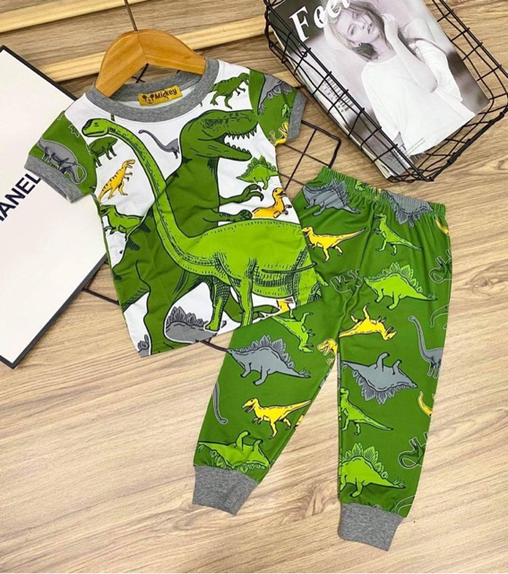 Bộ thun lạnh 3d bé trai thun lạnh cho bé sỉ quần áo cho bé hồ chí minh Pikakids