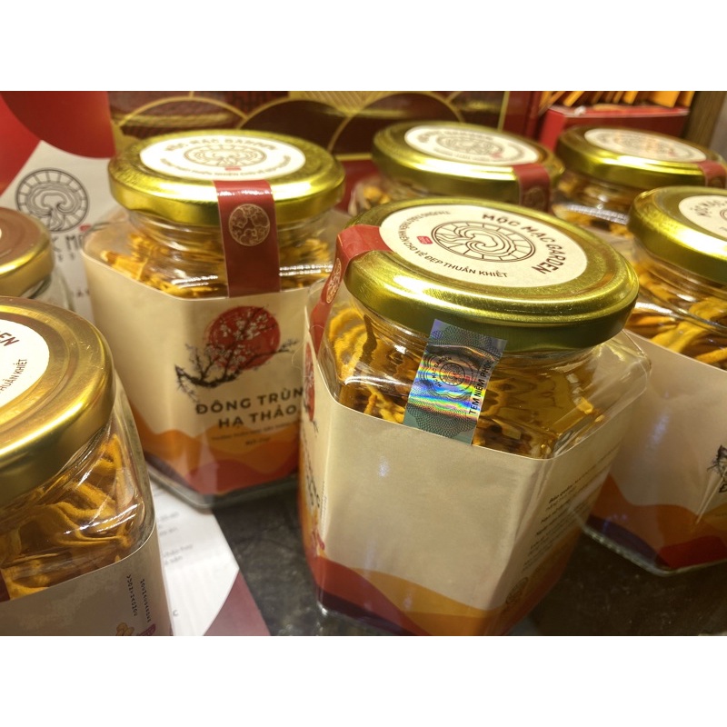 (10gr) Đông Trùng Hạ Thảo Sấy Thăng Hoa Cao cấp | BigBuy360 - bigbuy360.vn