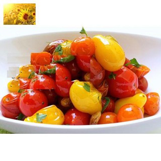 Hạt Giống Cà Chua Qủa Lê Đỏ (30 Hạt)