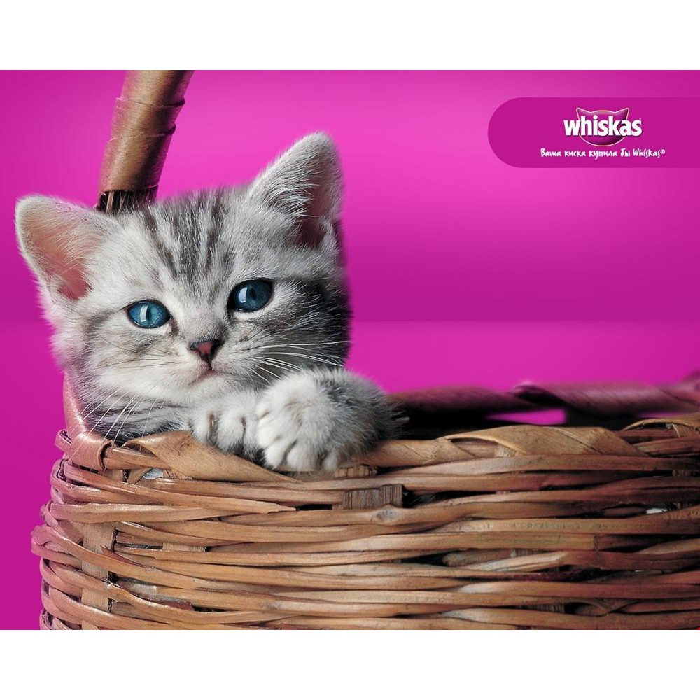 Hạt Whiskas Junior Cho Mèo Con Vị Cá Biển